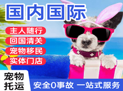 吴圩空运公司国际宠物托运 【国